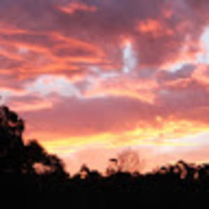 Meet your Posher, Teah